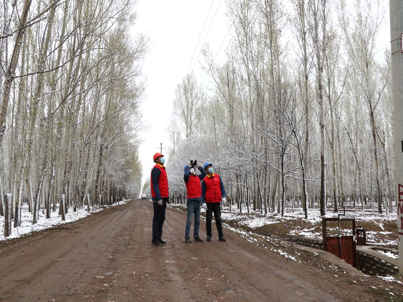 國網(wǎng)伊犁伊河供電公司四月飛雪，電力員工巡視線路保供電