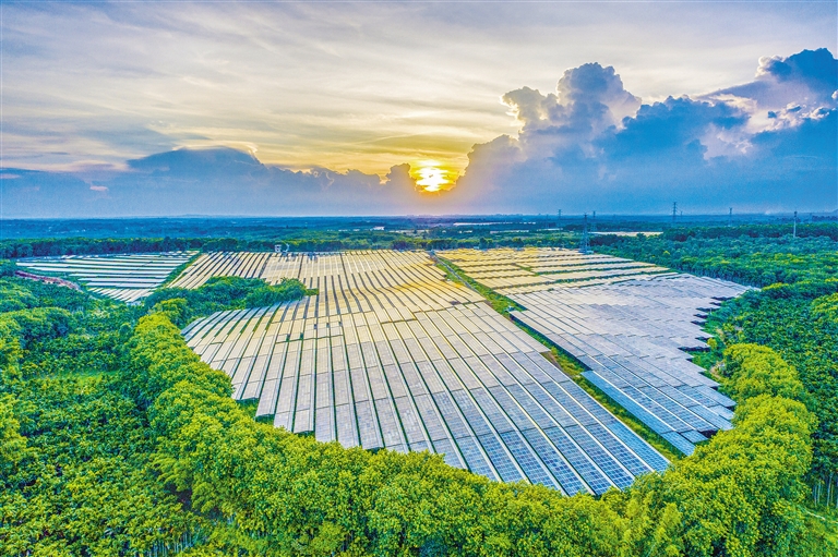 海南電網(wǎng)公司加快構(gòu)建現(xiàn)代供電服務(wù)體系，驅(qū)動(dòng)鄉(xiāng)村振興電力引擎