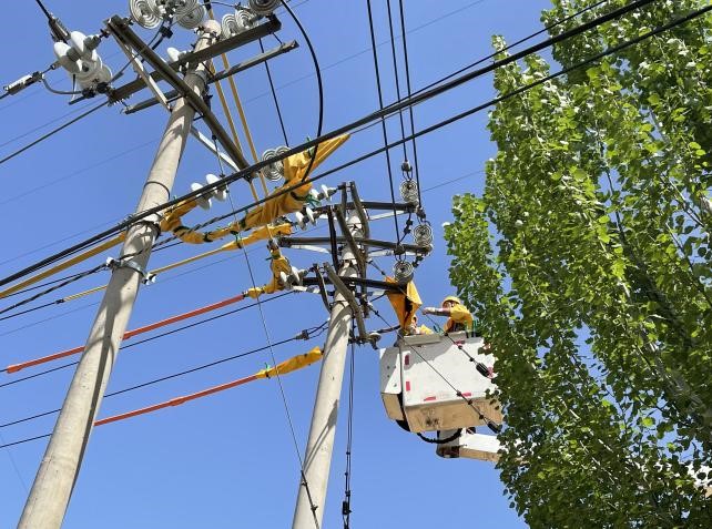 帶電作業(yè)除隱患，安全供電有保障