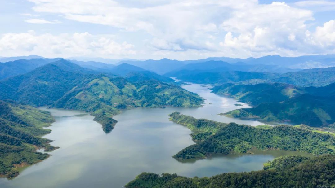 中國電建：為保護(hù)生物多樣性注入中企動力