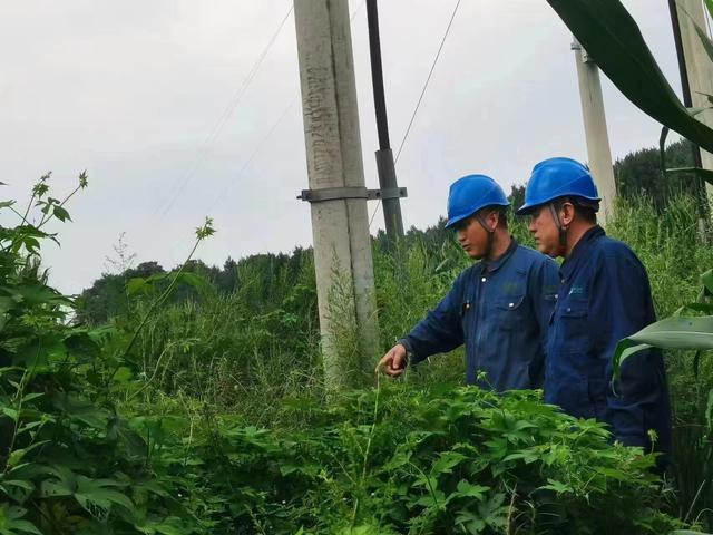 國網長春供電公司積極應對極端天氣，確保線路設備穩(wěn)定運行