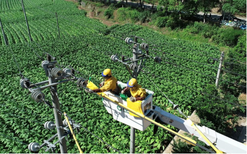 國(guó)網(wǎng)松溪縣供電公司“帶電+保電”升級(jí)改造電網(wǎng)